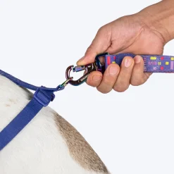 Dash Dog Chevron Easy Walk Harness For Dog - Purple