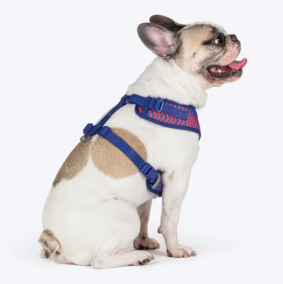 Dash Dog Chevron Easy Walk Harness For Dog - Purple