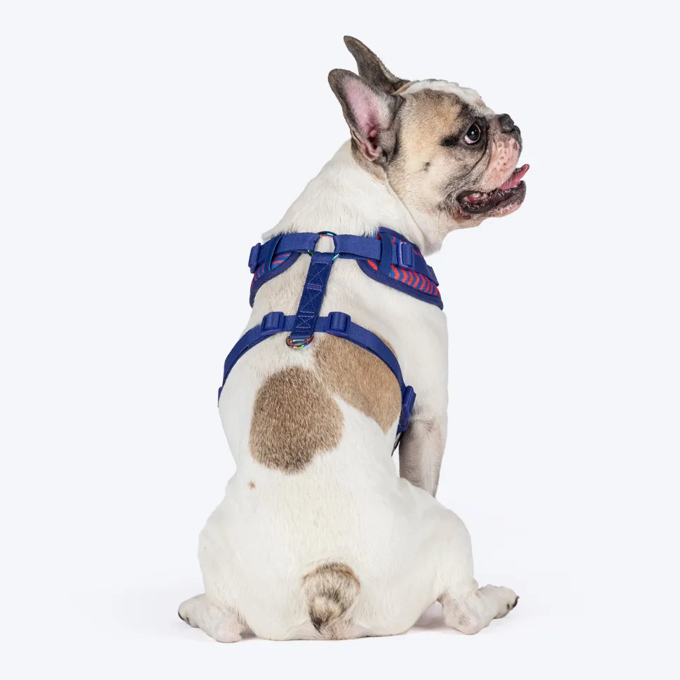 Dash Dog Chevron Easy Walk Harness For Dog - Purple