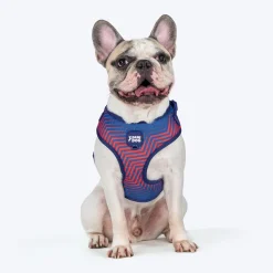 Dash Dog Chevron Easy Walk Harness For Dog - Purple