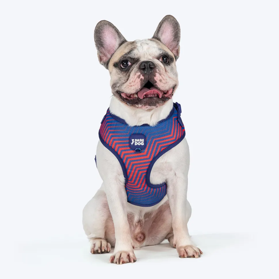 Dash Dog Chevron Easy Walk Harness For Dog - Purple