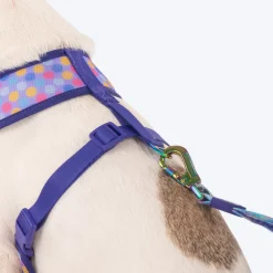 Dash Dog Circle Double Harness - Aqua Blue & Lavender