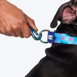 Dash Dog Circle Printed Leash - Aqua Blue & Lavender