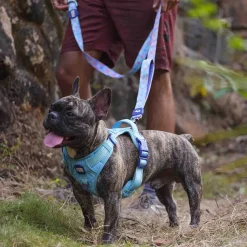 Dash Dog Circle Printed Leash - Aqua Blue & Lavender