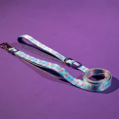 Dash Dog Circle Printed Leash - Aqua Blue & Lavender