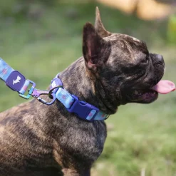Dash Dog Circle Printed Leash - Aqua Blue & Lavender