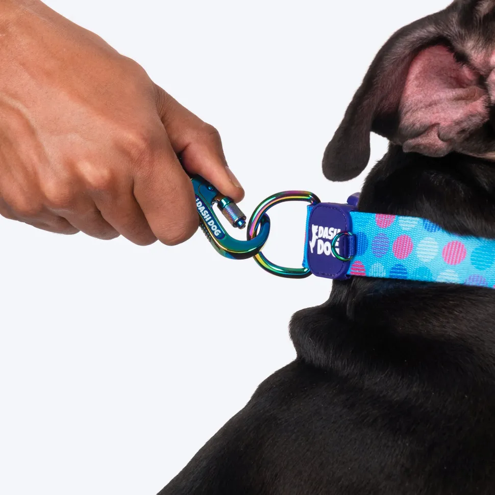 Dash Dog Circle Print Leash - Aqua Blue & Lavender