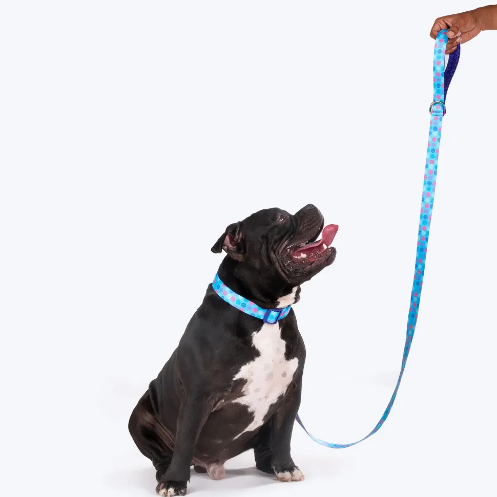 Dash Dog Circle Print Leash - Aqua Blue & Lavender