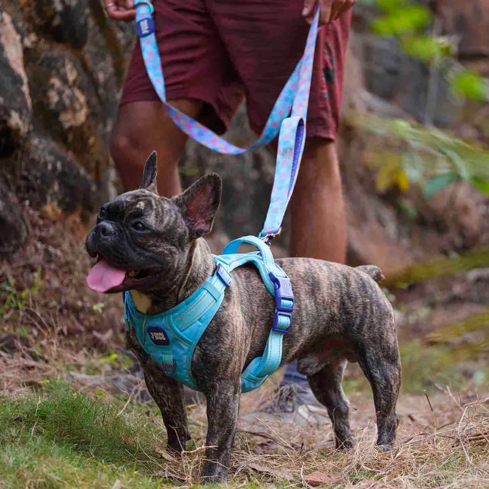 Dash Dog Circle Print Leash - Aqua Blue & Lavender