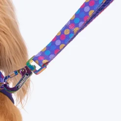 Dash Dog Circle Print Leash - Violet & Red