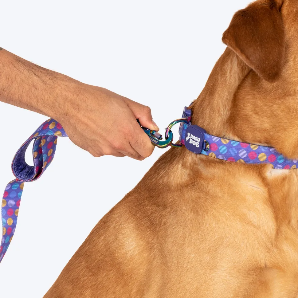 Dash Dog Circle Print Leash - Violet & Red