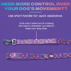 Dash Dog Circle Print Leash - Violet & Red