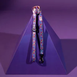 Dash Dog Circle Print Leash - Violet & Red