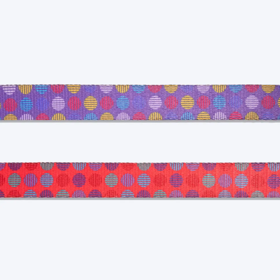 Dash Dog Circle Print Leash - Violet & Red
