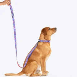 Dash Dog Circle Print Leash - Violet & Red
