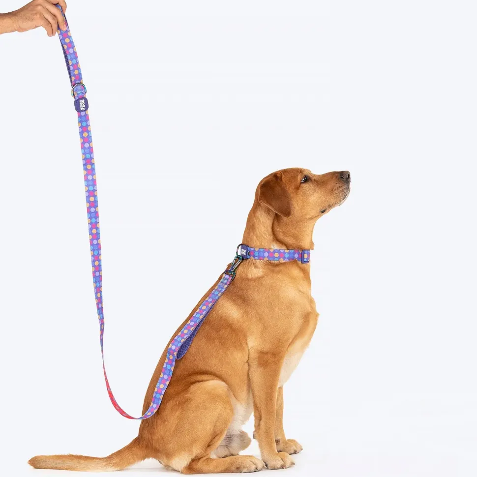 Dash Dog Circle Print Leash - Violet & Red