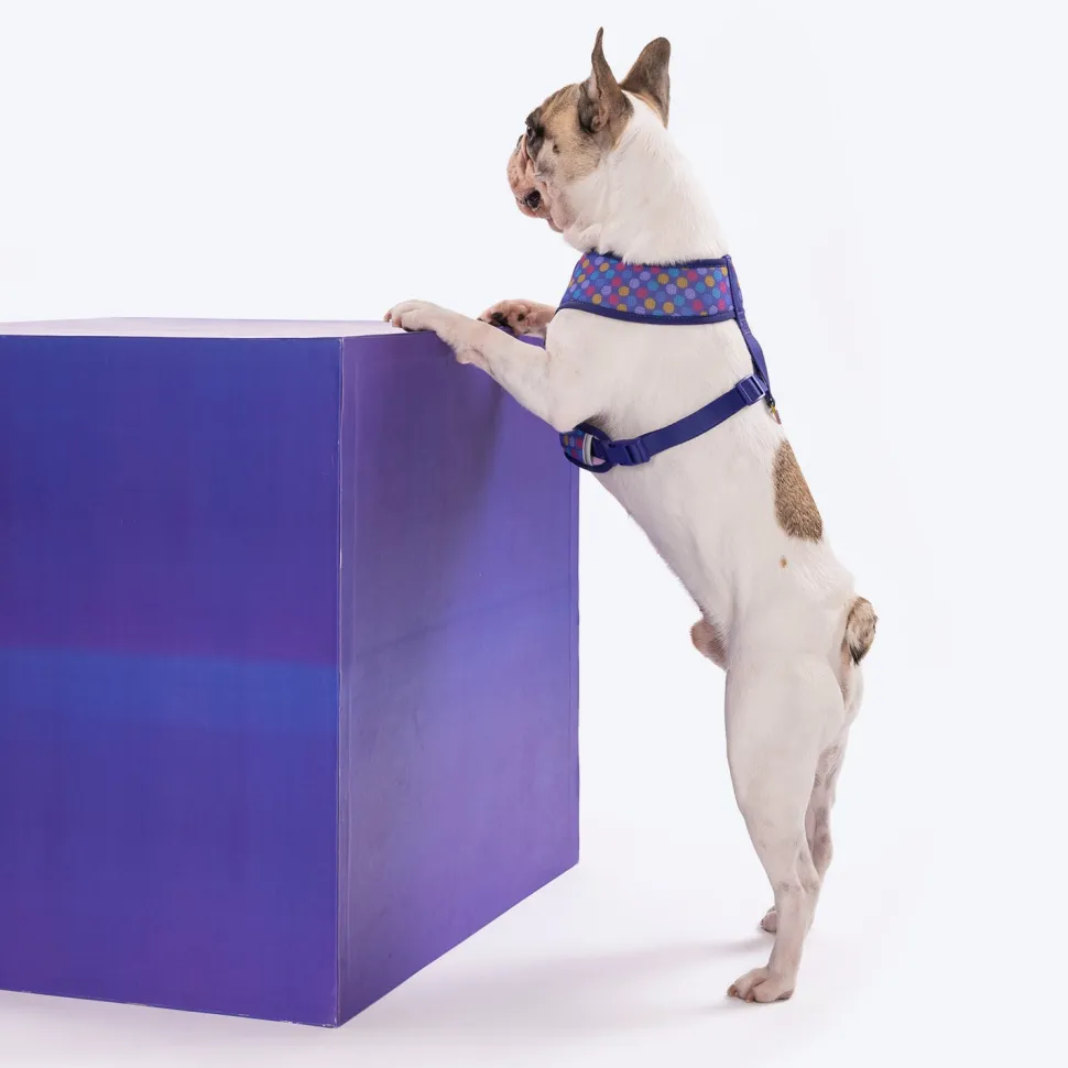 Dash Dog Circle Reversible Harness - Violet & Red