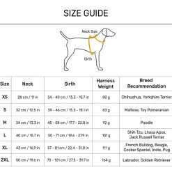 Dash Dog Circle Reversible Harness - Violet & Red