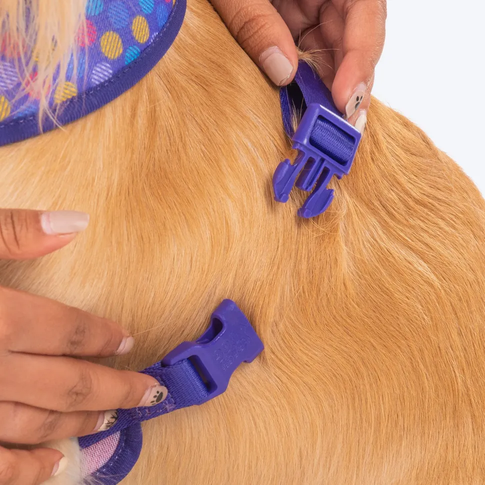 Dash Dog Circle Reversible Harness - Violet & Red