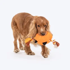 Dash Dog Clever Fox Squeaky Plush Toy For Dog - Orange