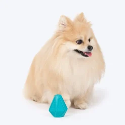 Dash Dog Crystal Treat Chew Toy For Dog - Teal