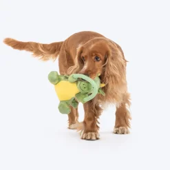 Dash Dog Dino Squeaky-Saurus Plush Toy For Dog - Green