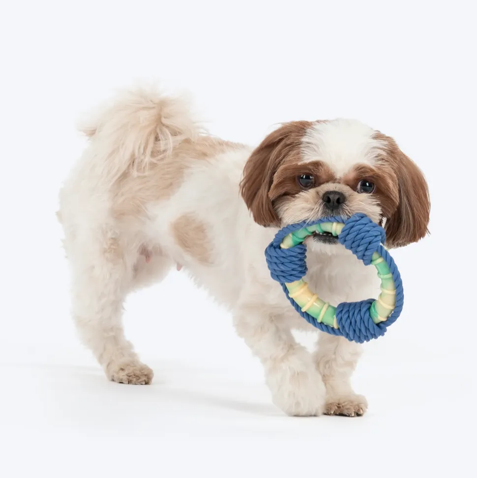 Dash Dog Disc Dasher Rope Toy For Dog - Multicolor