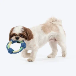 Dash Dog Disc Dasher Rope Toy For Dog - Multicolor