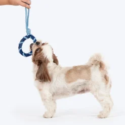 Dash Dog Disc Tugger Rope Toy For Dog - Navy Blue