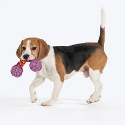 Dash Dog Double Trouble Bungee Rope Toy For Dog - Pink