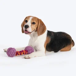 Dash Dog Double Trouble Bungee Rope Toy For Dog - Pink