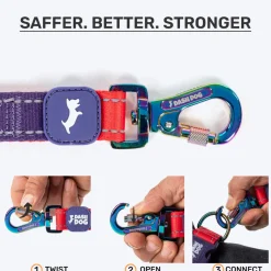 Dash Dog Dual Handle Leash For Dog - Red & Purple
