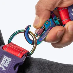 Dash Dog Dual Handle Leash For Dog - Red & Purple