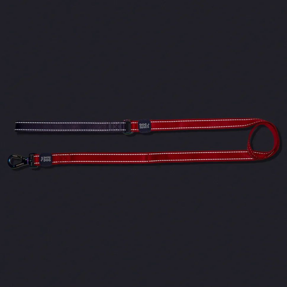 Dash Dog Dual Handle Leash For Dog - Red & Purple