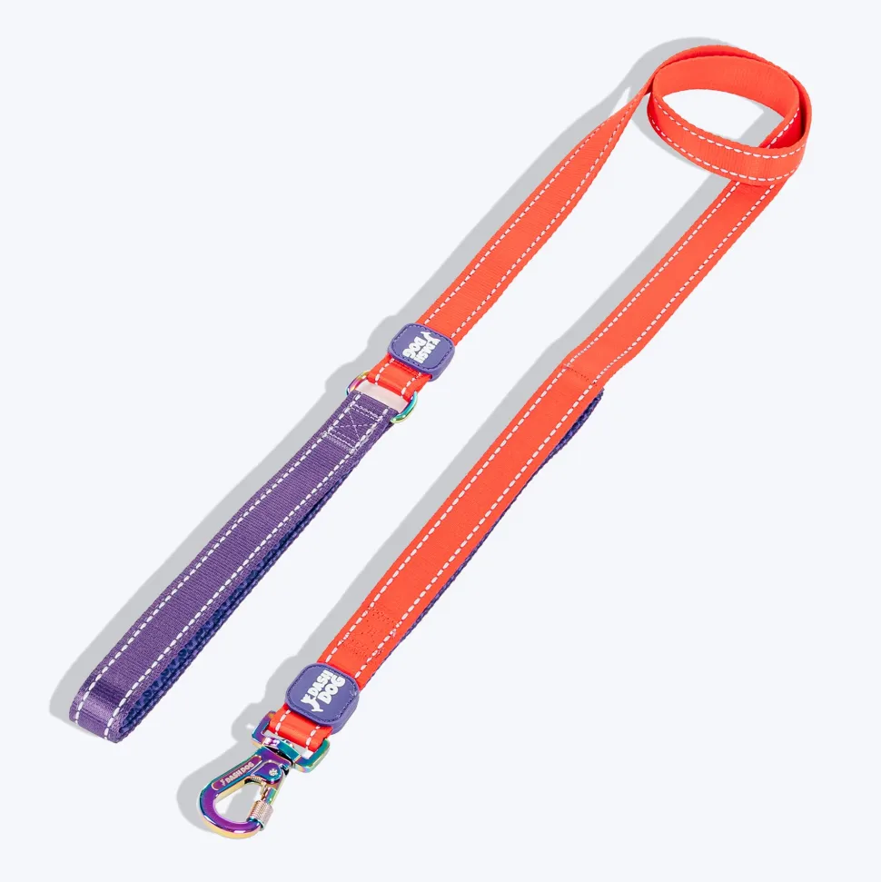 Dash Dog Dual Handle Leash For Dog - Red & Purple