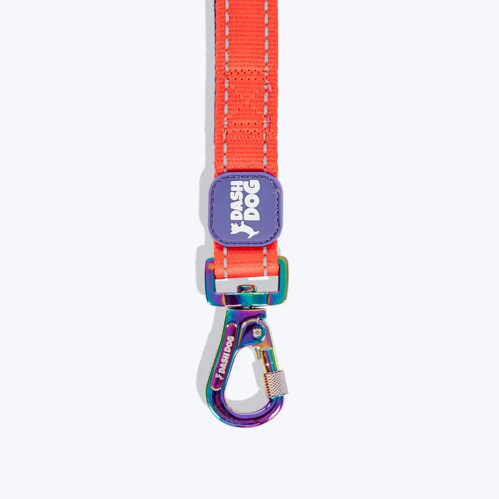 Dash Dog Dual Handle Leash For Dog - Red & Purple