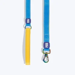 Dash Dog Dual Handle Leash For Dog - Royal Blue & Yellow