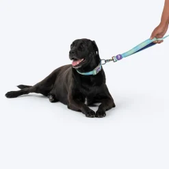 Dash Dog Ethernal Fade Dual Handle Leash For Dog - Aqua