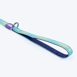 Dash Dog Ethernal Fade Dual Handle Leash For Dog - Aqua