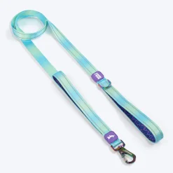 Dash Dog Ethernal Fade Dual Handle Leash For Dog - Aqua