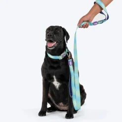 Dash Dog Ethernal Fade Dual Handle Leash For Dog - Aqua
