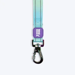 Dash Dog Ethernal Fade Dual Handle Leash For Dog - Aqua