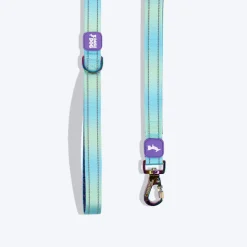 Dash Dog Ethernal Fade Dual Handle Leash For Dog - Aqua