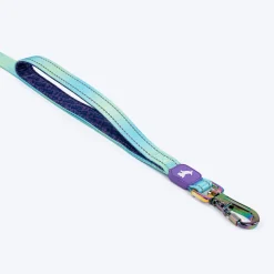 Dash Dog Ethernal Fade Dual Handle Leash For Dog - Aqua
