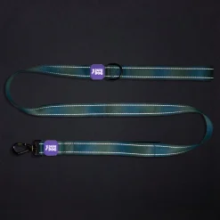Dash Dog Ethernal Fade Dual Handle Leash For Dog - Aqua