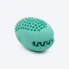 Dash Dog Explorer's Shell Chew Toy For Dog - Teal