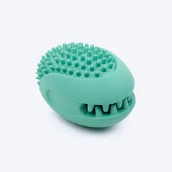 Dash Dog Explorer's Shell Chew Toy For Dog - Teal