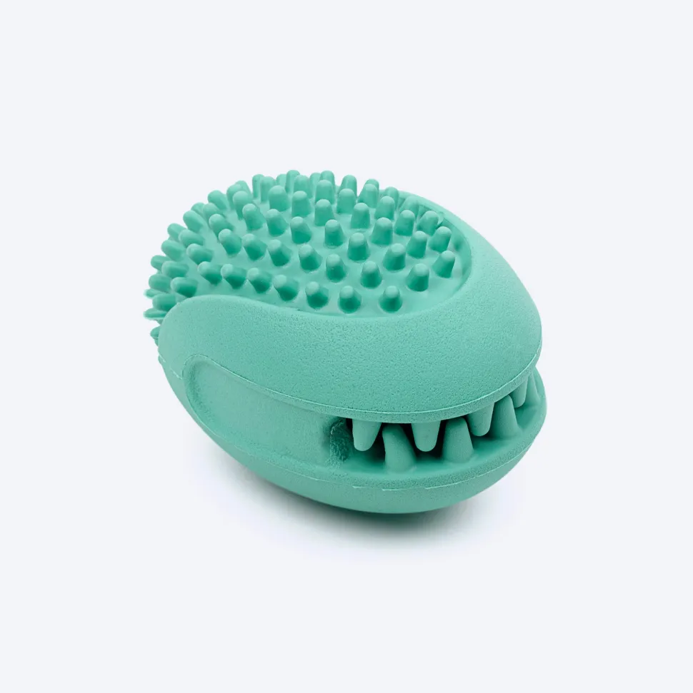 Dash Dog Explorer's Shell Chew Toy For Dog - Teal
