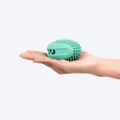Dash Dog Explorer's Shell Chew Toy For Dog - Teal