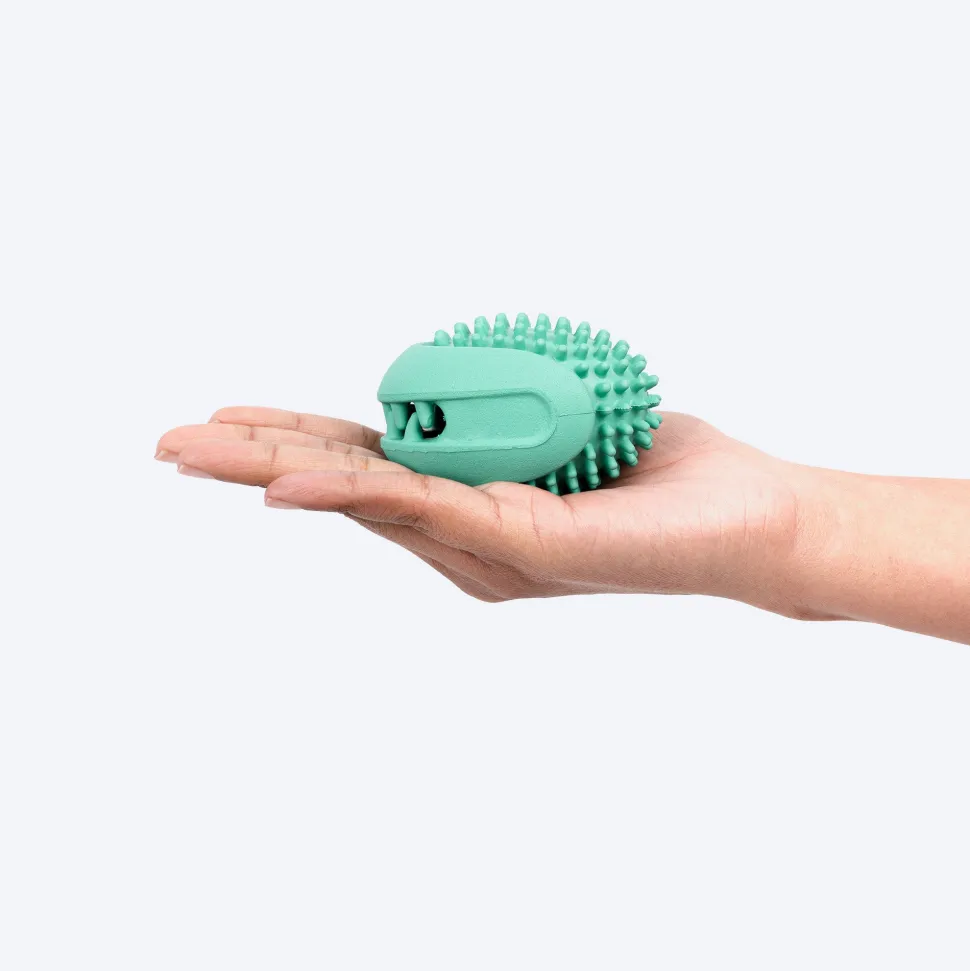 Dash Dog Explorer's Shell Chew Toy For Dog - Teal